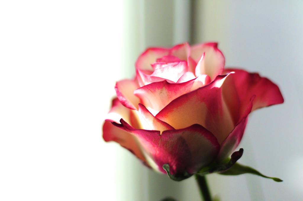 B&B Val Des Roses Брюж Екстериор снимка